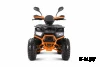 Квадроцикл YACOTA SIRIUS 2000W