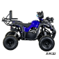 Квадроцикл STALKER 125