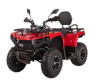 Квадроцикл Bizon YK250 LUX EFI