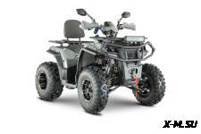 Квадроцикл YACOTA VIKING PRO 200