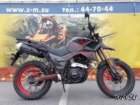 Мотоцикл FUEGO Tekken 250 PRO-SPORT