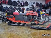 Снегоход IRBIS DINGO T200 XE 25/26 NEW