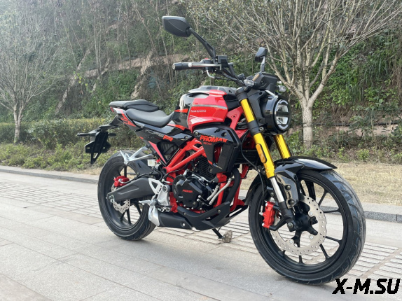 Мотоцикл PROMAX CB300 EFI