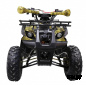 Квадроцикл ATV Termit TT Cross