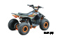 Квадроцикл WELS TUKAH 110