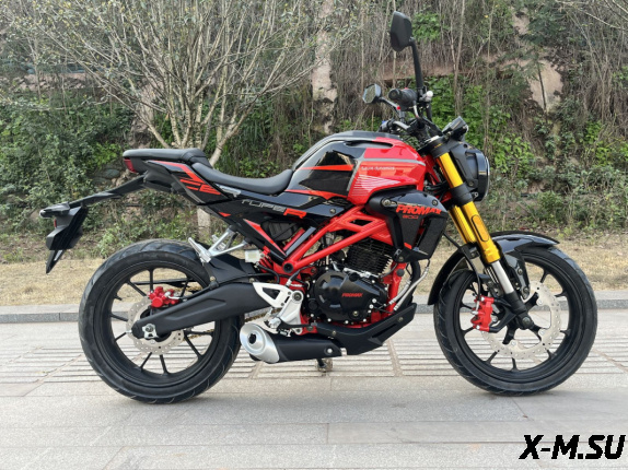 Мотоцикл PROMAX CB300 EFI